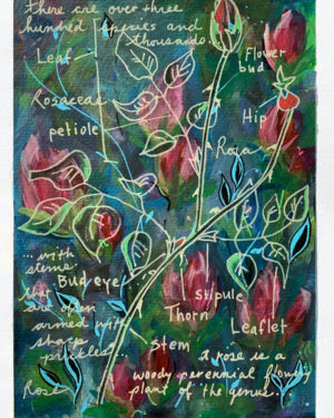 gouache acrylic small painting roses words petal stem