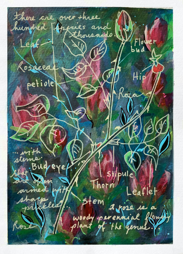 gouache acrylic small painting roses words petal stem